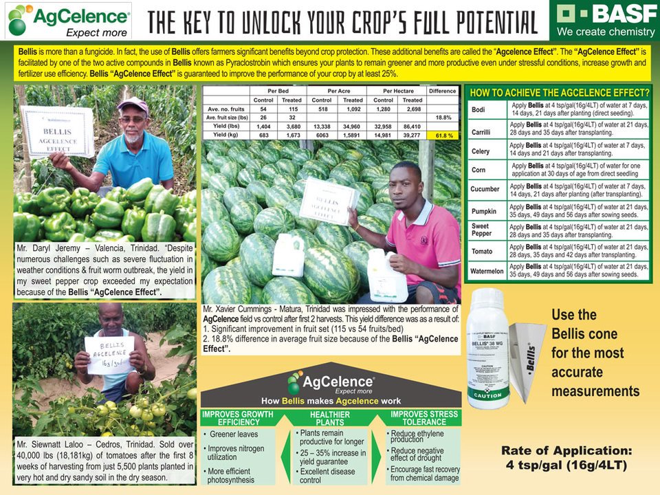 strategies CaribbeanChemicalsCalendar
