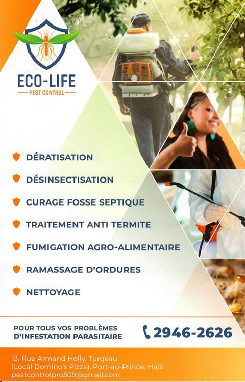 Article Ecolife Flyer Link